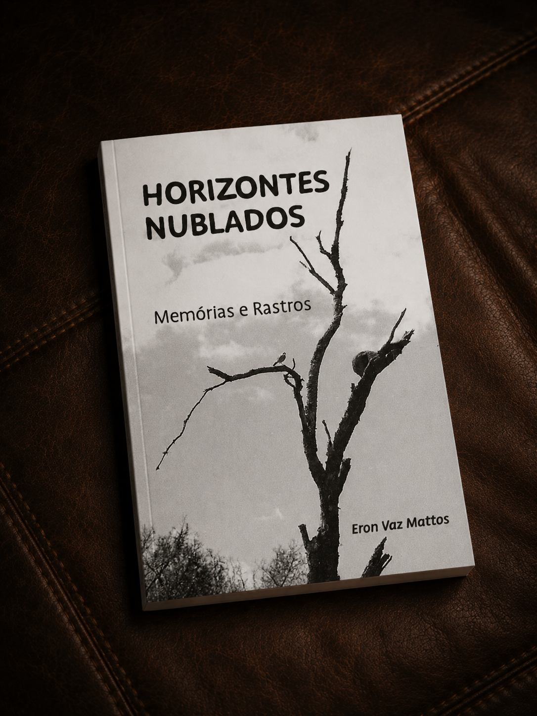 Capa — Horizontes Nublados