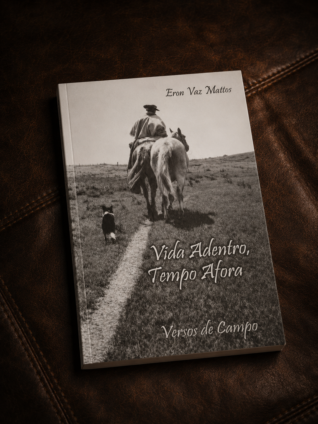 Capa — Vida Adentro, Tempo Afora